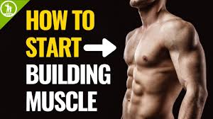 how to start building muscle for