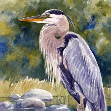 Great Blue Heron Watercolor Print Bird