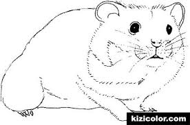 More 100 coloring pages from animal coloring pages category. Hamsters Coloring Pages Kizi Coloring Pages