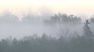 İngilizce türkçe online sözlük tureng. Weather Or Not How Does Fog Form