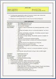 Professional Curriculum Vitae   Resume Template for All Job     toubiafrance com