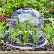 Grozone Tunnels Cloches Smart