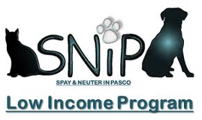 Altering your cat removes the ability to reproduce and helps ensure a longer, healthier life. Low Income Spay Neuter Pasco County Fl Official Website