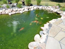 Pond Supplies Natural Environments