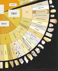 Cheeselovers Will Delight In This Wondrous Giant Cheese Chart