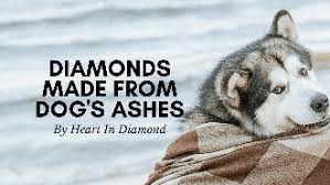 urns for pet ashes consider diamonds