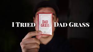 By august 2020, we had created the strongest cbd cigarettes on the market, with 130mg of cbd per cigarette. I Tried Dad Grass And Compared It To Qiwi Youtube
