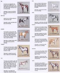 Pin By Christy Sprouse On Horse Grooming Health Tips