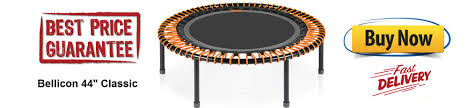 bellicon review rebounder