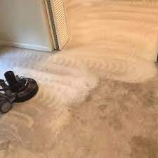 carpet cleaning expert in bridge city