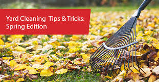 Yard Cleaning Tips Tricks Spring