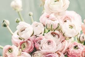 pastel bouquet bloom rose
