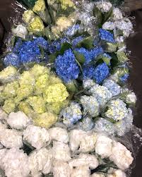 Maybe you would like to learn more about one of these? Chicago S Wholesale Florist Home Facebook