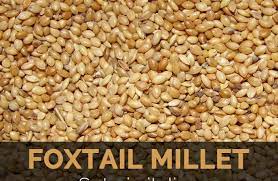 foxtail millet facts health benefits