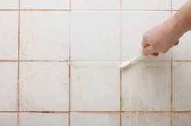 how to get rid of pink mold in your shower