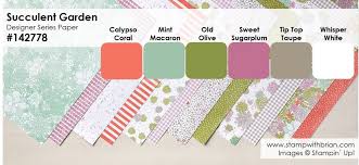 2017 Occasions Catalog Designer Series Papers Colors Stamp
