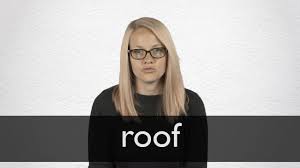 roof definición y significado