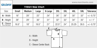 Gildan Cotton T Shirt Size Chart Coolmine Community School