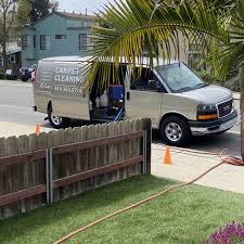 carpet cleaning near allied gardens