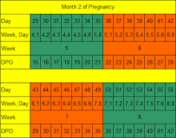 How Long Is Pregnancy Days Weeks Months Trimesters