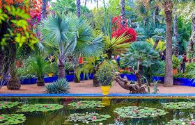 majorelle garden an oasis in the red city