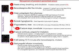 Status Epilepticus Treatment Flow Chart And Excerpts Help