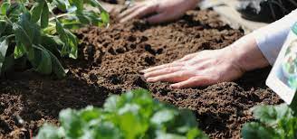 How To Amend Clay Soil Naturally 6