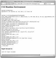 69 seeing the cgi environment