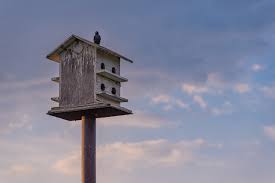 Wooden Birdhouse With Blue Sky And Clouds