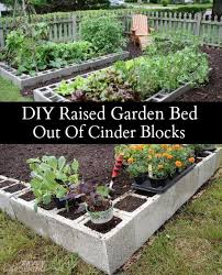 raised garden bed out of cinder blocks