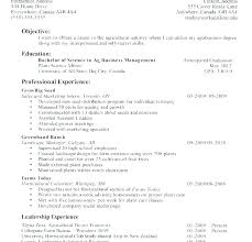 Cv Template Objective Flight Attendant Resume Objectives Print Entry