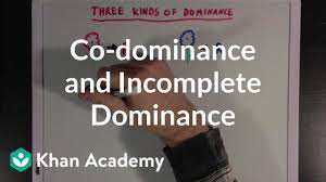 Work power and energy worksheets answers. Co Dominance And Incomplete Dominance Video Khan Academy