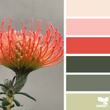 Design Seeds Color Palettes Inspired