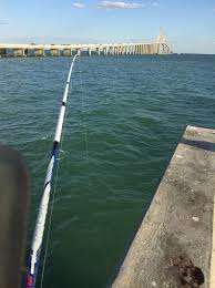 skyway bridge fishing pier