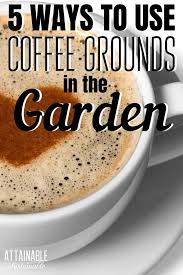 composting coffee grounds in the