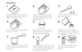 strawberry dna extraction activity