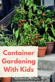 Container Gardening With Kids Freedom