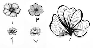 how to draw a flower a beginner s