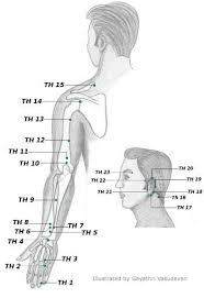 Acupressure Points Chart Acupressure Points Chart
