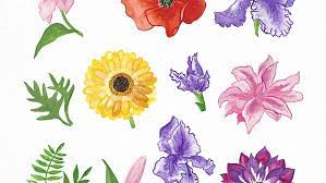 Easy Watercolor Flower Painting For