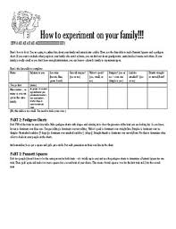 Punnett Squares Pedigree Chart Experiment On Your Family