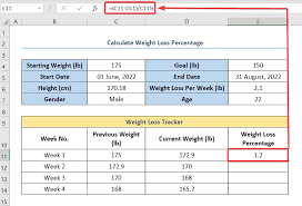 tracking weight loss in excel