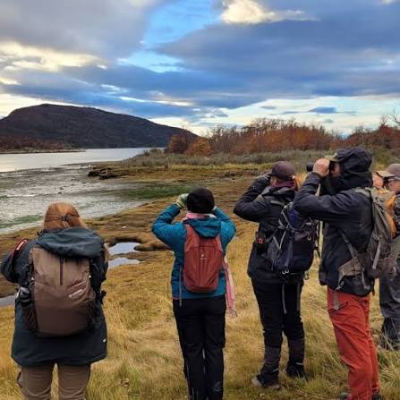 Global Big Day en el Parque Nacional Tierra del Fuego!!🦉 Queremos agradecer a todos los que se sumaron y colaboraron con esta actividad. Especialmente a los amigos del COA Ushuaia @coa.ushuaia con