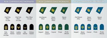 Canada Military Nco Chart Military Ranks Army Ranks
