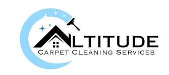 alude carpet cleaning carpet