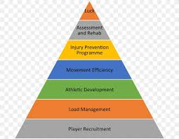 Pyramid Scheme Organizational Structure Human Resources Png