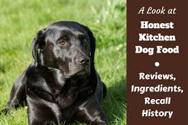 Guía completa y ejemplos actualizado 2020. Honest Kitchen Dog Food Reviews Ingredients Recall History And Our Rating
