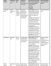 Lp 6 Drug Chart Docx Medication Classification Prototype