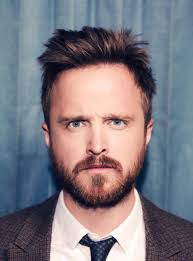 All this great work has inflated his net worth, which currently sits at an estimated $8 million. Aaron Paul Breaking Bad Changed My Life Breaking Bad The Guardian