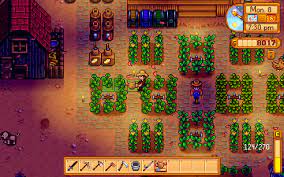 Hey everybody, does anyone know why one of my chickens (right) has stopped  returning to it's coop (left) at night? : r/StardewValley